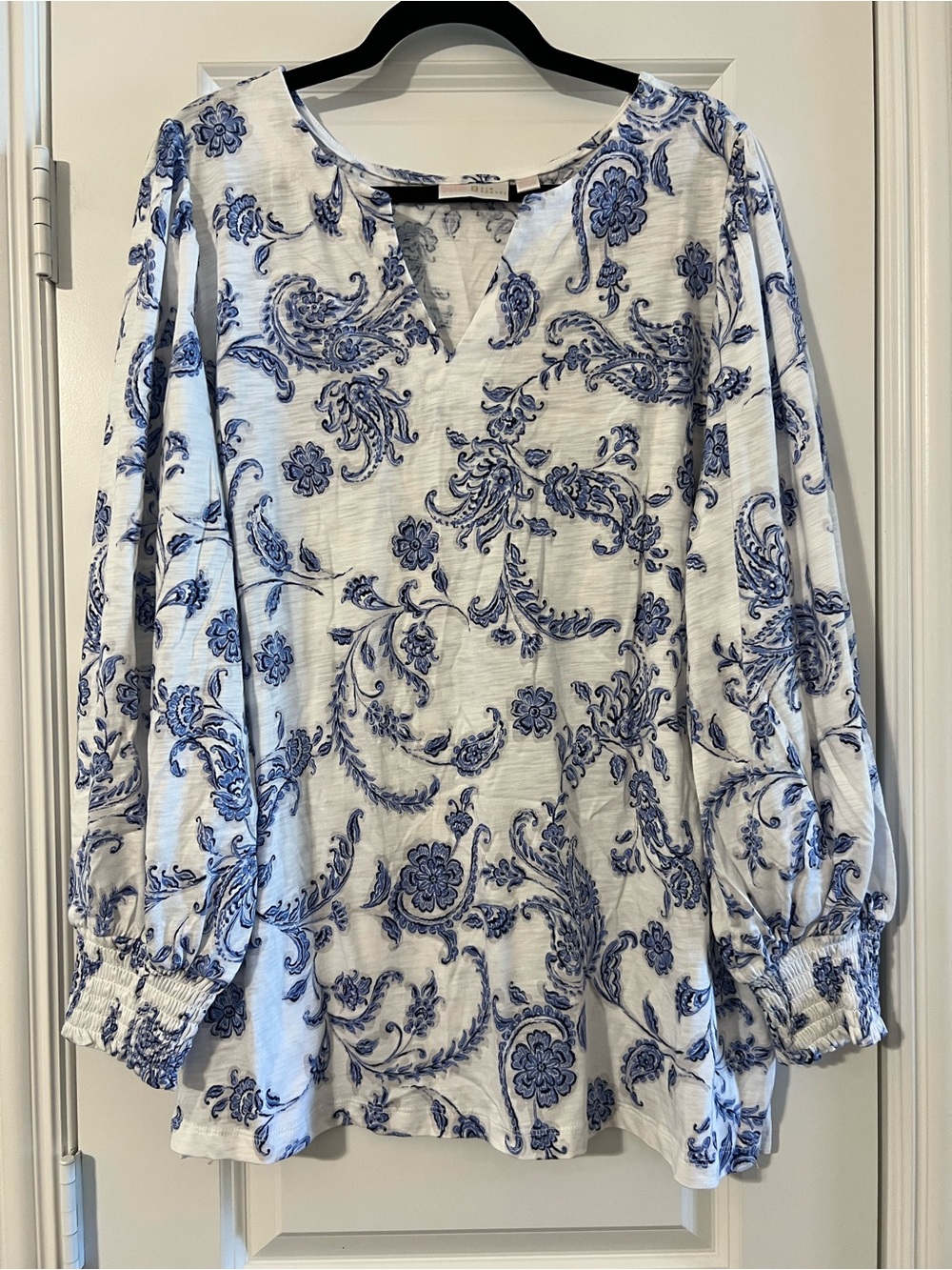 Blue Floral Paisley V-Neck Long Sleeve Top